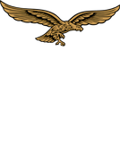 Luftwaffe Eagle - Luftwaffe Insignia - T-Shirt
