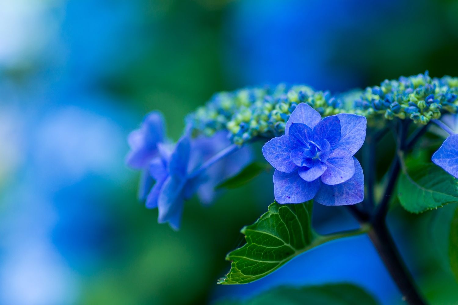Explore LadonnaSmith Shop Ideas