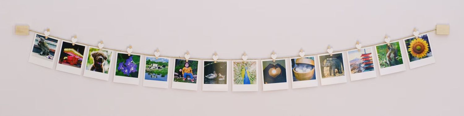 Explore Tvconneting Shop Ideas