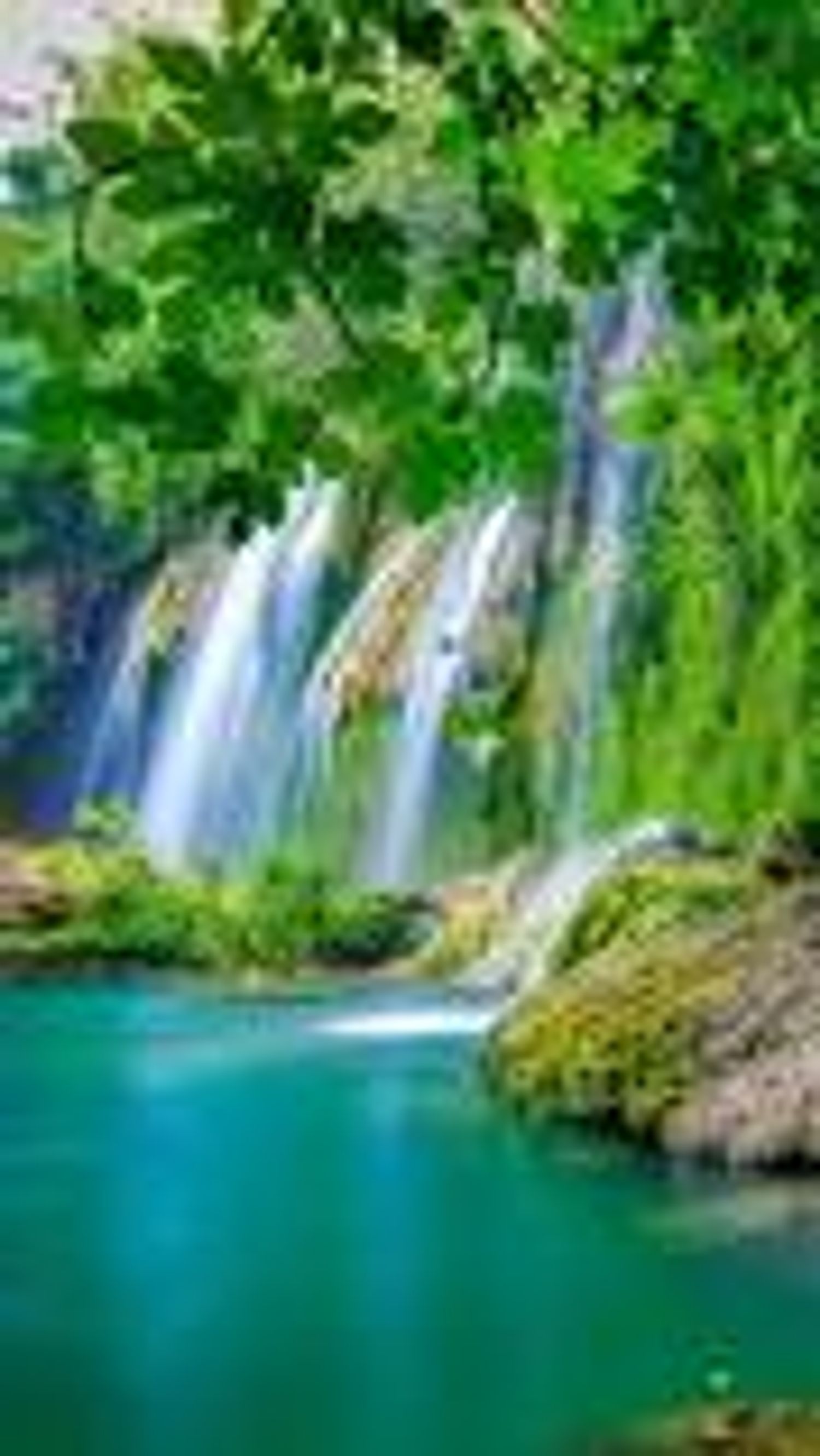 Explore dariuselmer Shop Ideas