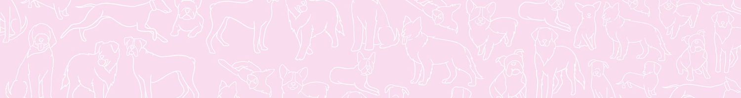 Explore FluffPetCare Shop Ideas