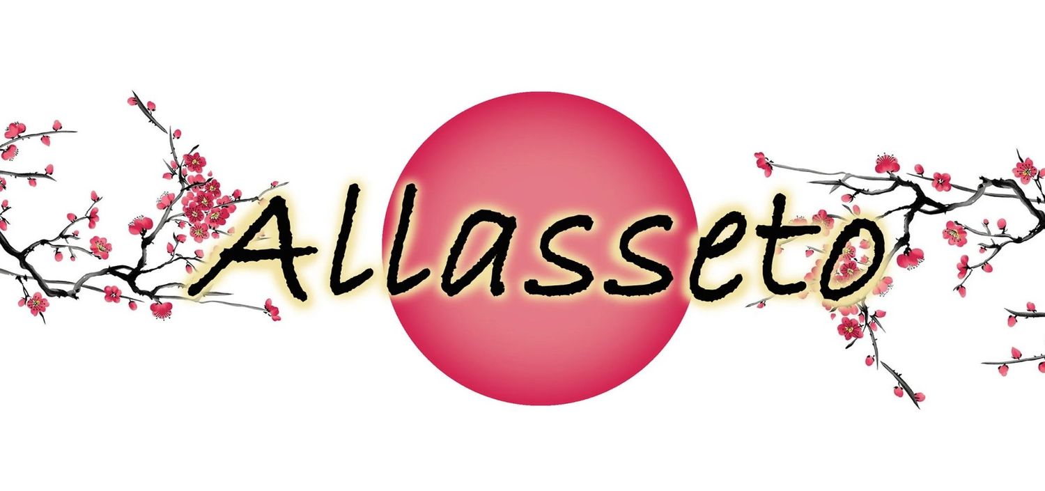Explore Allasseto Shop Ideas