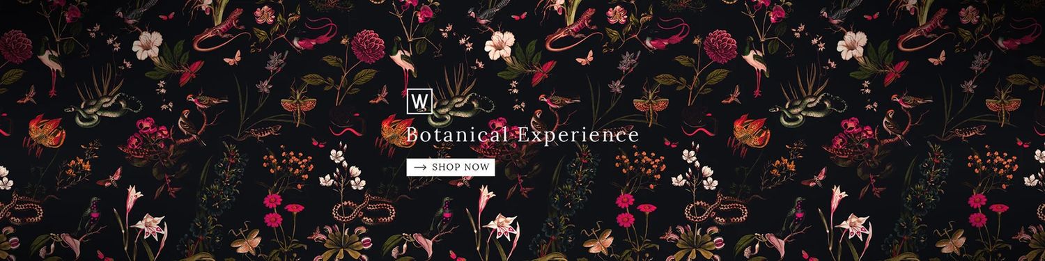 Explore xwallcolors Shop Ideas
