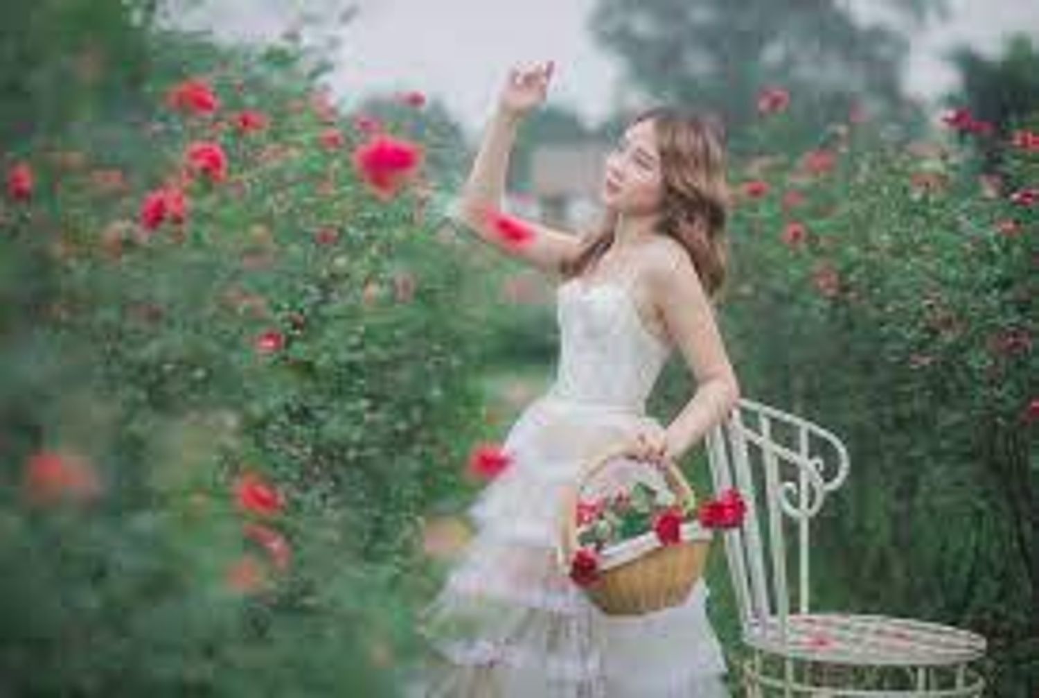 Explore ellieflpV1Sop Shop Ideas