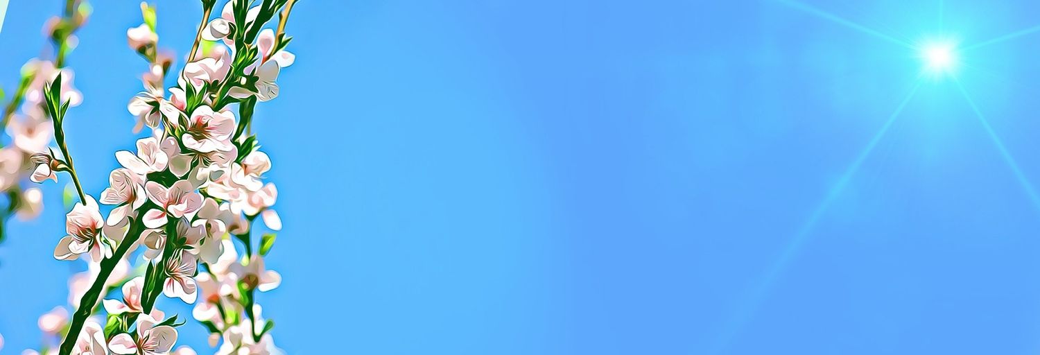 Explore legroszoey Shop Ideas
