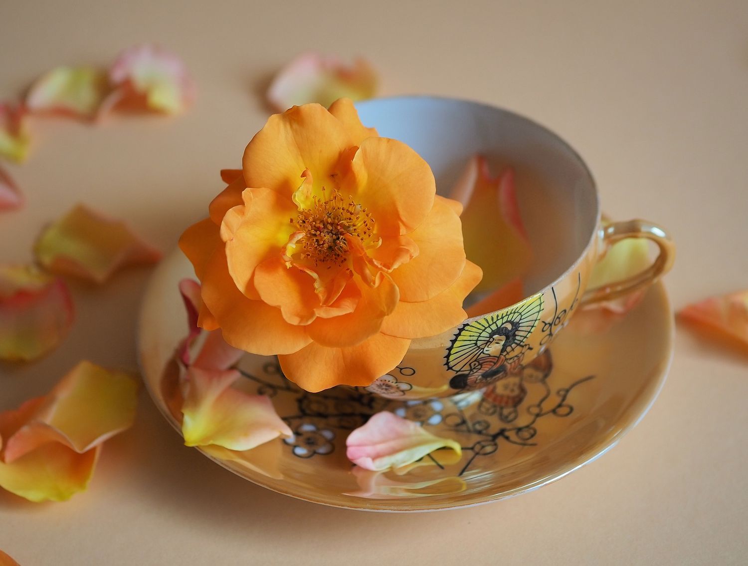Explore manfredwilson9 Shop Ideas
