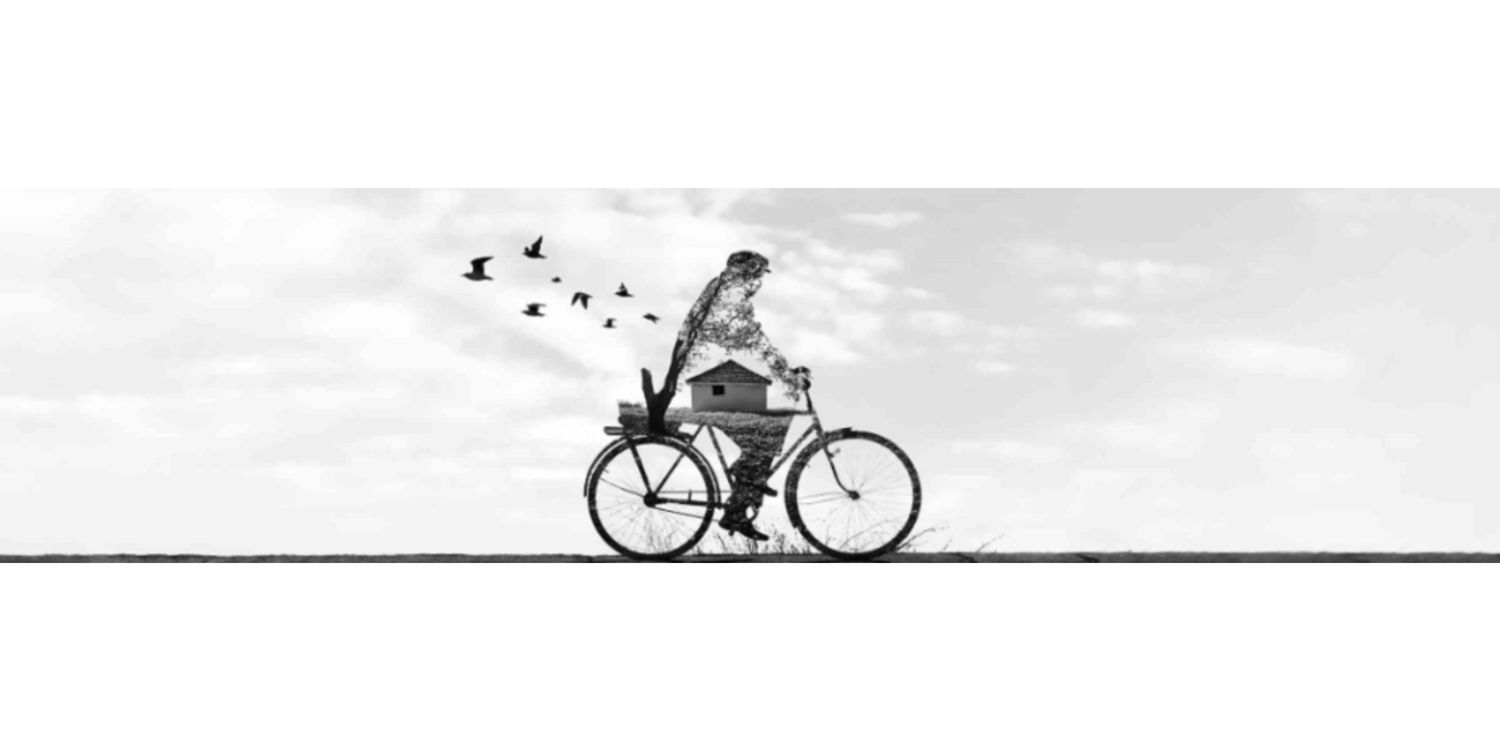 Explore hassaanquasney8912514 Shop Ideas