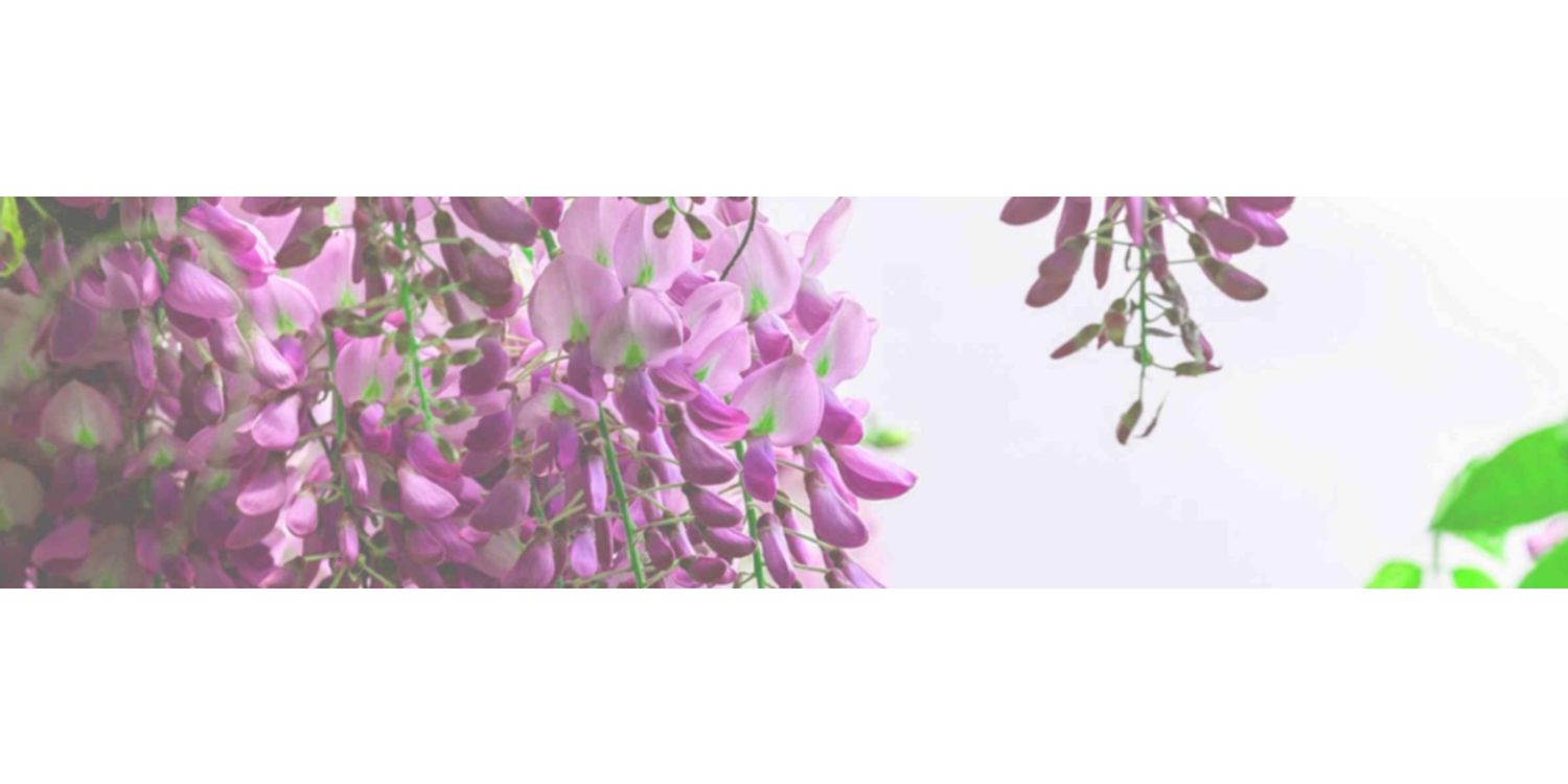 Explore MacmurraySereda706 Shop Ideas