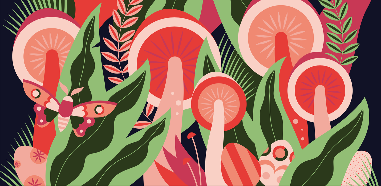 Explore Lily Owens Shop Ideas