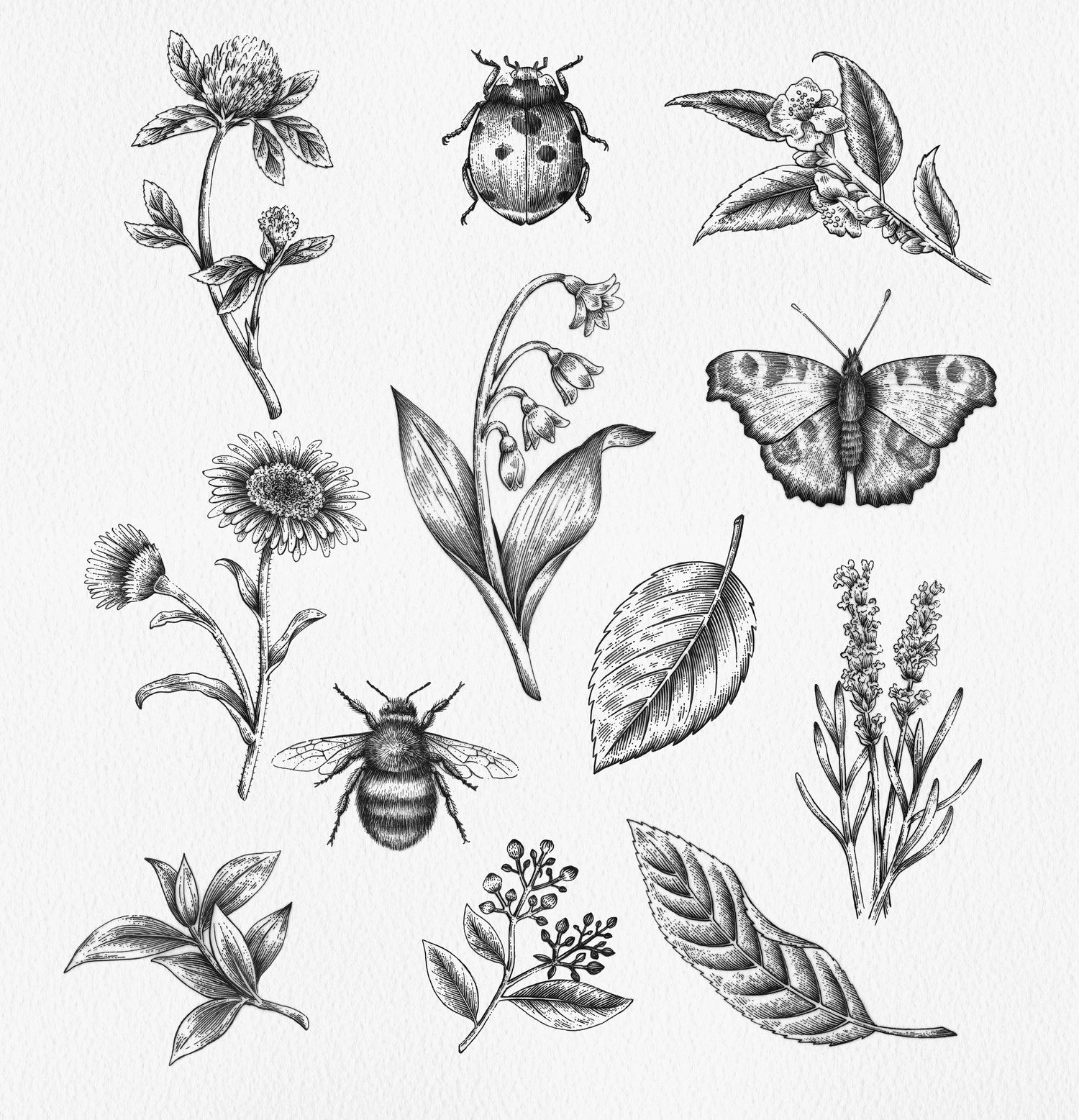 Explore Ella Ginn Shop Ideas