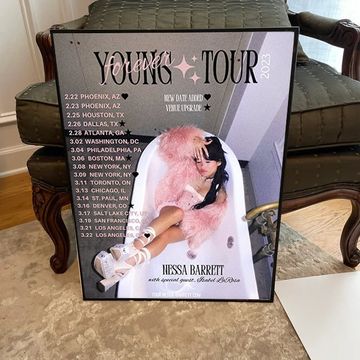 nessa barrett tour poster