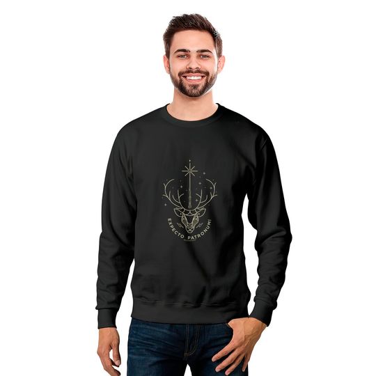 Discover Suéter Sweater Com Capuz Símbolos Harry Potter  Expecto Padrão!