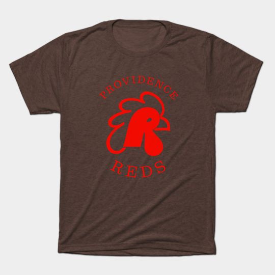 Discover Defunct Providence Reds Hockey AHL 1977 - Rhode Island - T-Shirt
