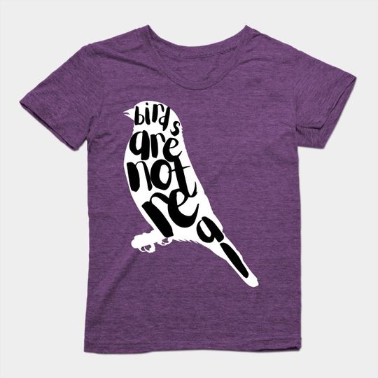 Discover Birds Aren’t Real T-Shirt