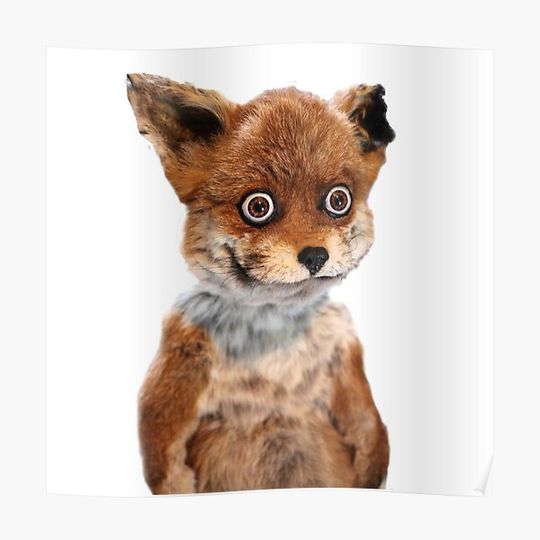 Discover GEOFF STONED FOX TAXIDERMY MEME ADELE MORSE Premium Matte Vertical Poster