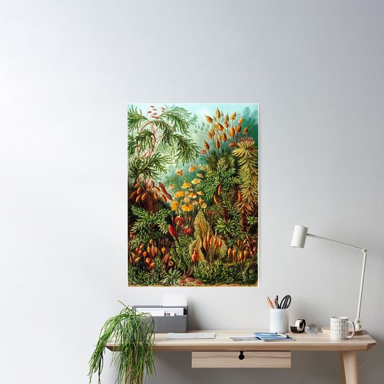 Discover 빈티지 식물 예술 포스터