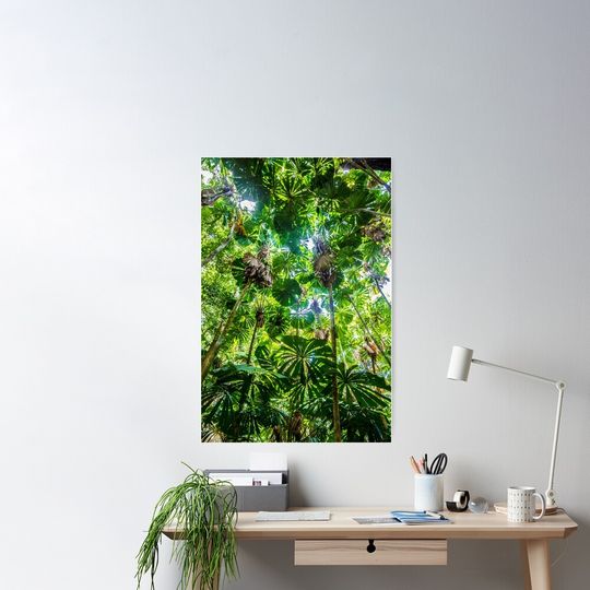 Discover 부채야자 숲 포스터