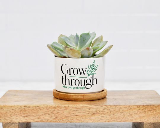 Discover Grow Through What You Go Through, Decorative Ceramic Planter, Mental Health Therapist Gift