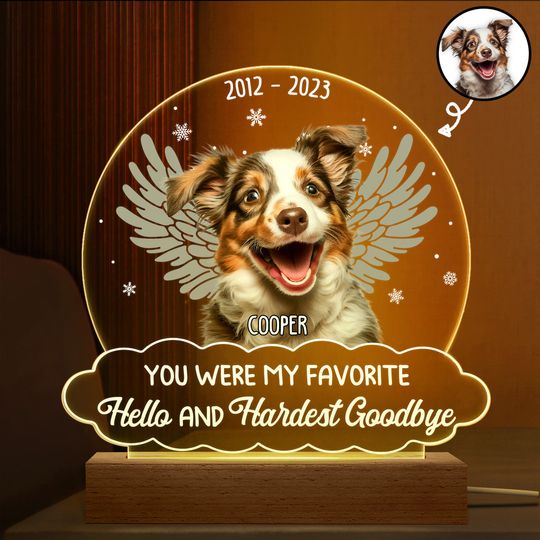 Discover Custom Photo You Were My Favorite Hello Memorial Gift For Pet Shaped Plaque Light Bases