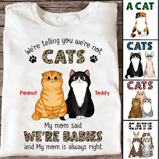 Discover Fluffy Cats Baby Mom Said Custom Mother's Day Gift Personalized T-Shirt