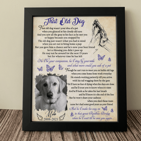 Discover That Old Dog Wasn't Your Idea Of A Pet Memorial Dog Custom Picture Frame