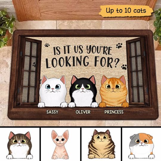 Discover You Are Looking For Funny Cats Personalized Doormat