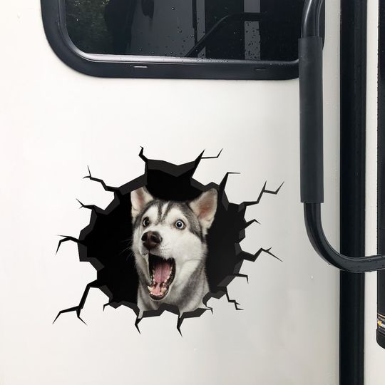 Discover Pet Crack Car Window - Personalized Photo Car Decal