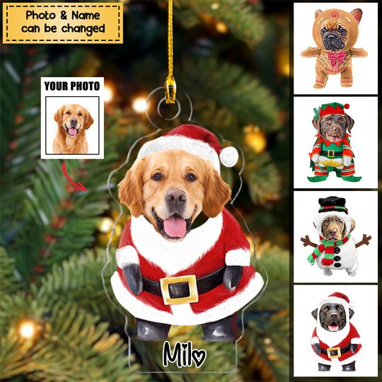 Discover Dog / Cat Lovers - Pet Costume Christmas - Personalized Acrylic Ornament