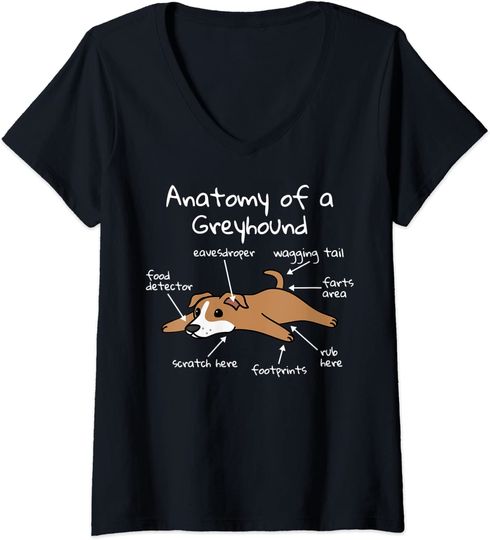 Discover Camisete Feminina com Gola em V Anatomy Of A Greyhound