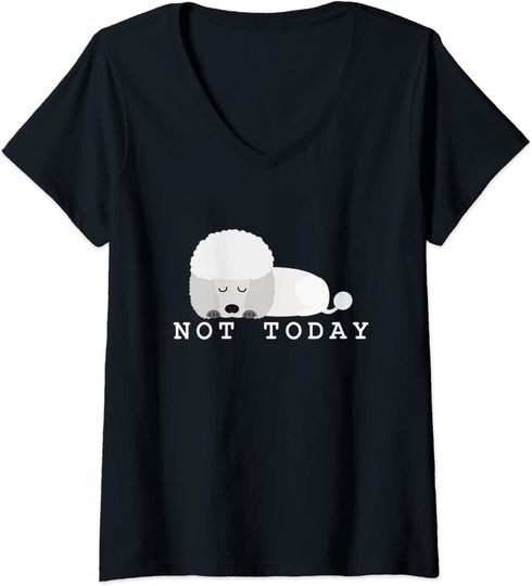 Discover T-shirt para Mulher Divertido com Poodle Not Today Decote em V