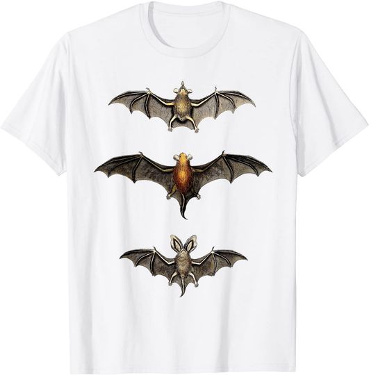 T-shirt para Homem e Mulher Morcegos Desenho Biologia Arte de Halloween