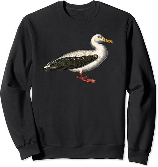 Discover Suéter Sweatshirt Albatros Arte Vintage