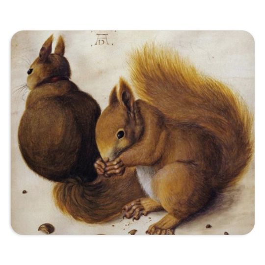 Discover Squirrels Square and Round Mousepad | Mouse Pad Tapete De Rato Esquilo Desenho