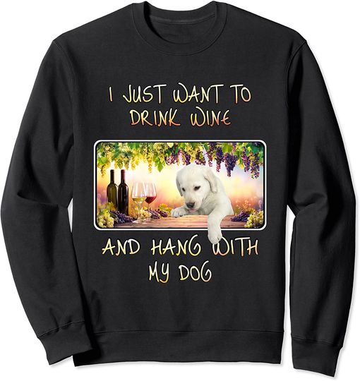 Discover Suéter Sweatshirt Unissexo Eu Só Quero Beber Vinho E Ficar com Meu Cão