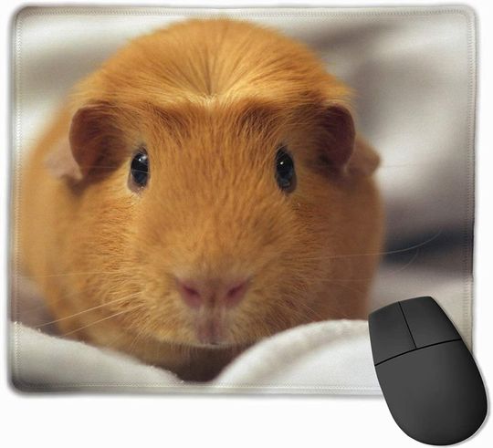 Discover Hamster Roborovski Mouse Pad