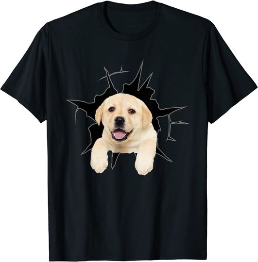 Discover T-Shirt Camiseta Manga Curta Golden Retriever Bebe Cachorro