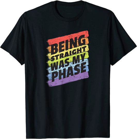 Discover Straight Era Meu LGBT T-Shirt Camiseta Manga Bandeira Hetero