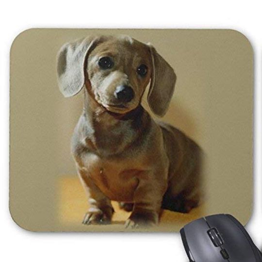 Discover Mouse Pad Daschund