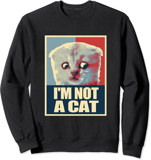 Discover Suéter Sweatshirt Gato Meme Meme Zoom