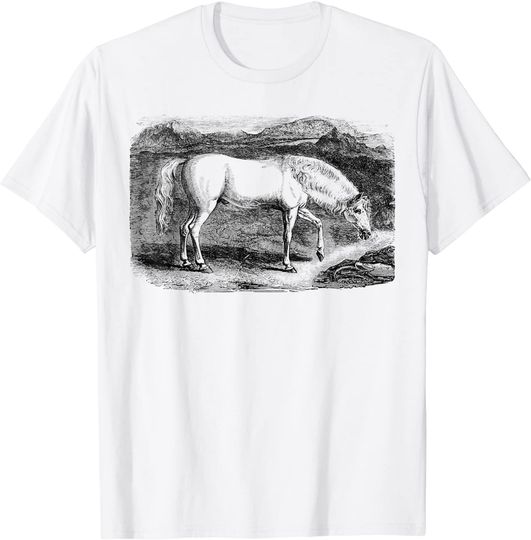 Discover T-shirt Estampada Cavalo Desenho | Camiseta para Homem e Mulher