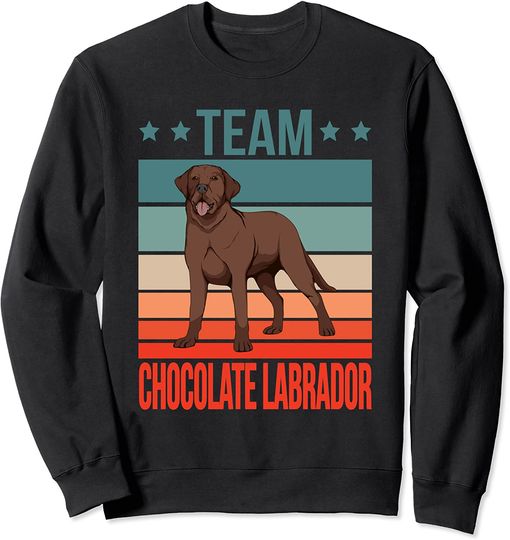 Discover Suéter Para Homem E Mulher Criança Sweatshirt  Equipo Labrador Castanho