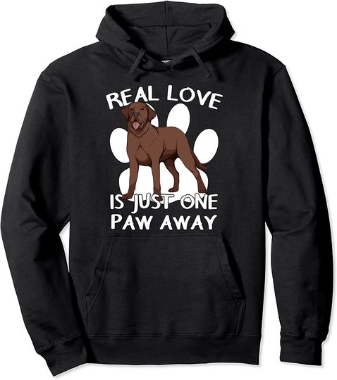 Discover Hoodie Sweater Com Capuz Labrador Castanho Amor Real