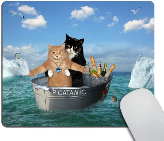 Discover Tapate de Rato Meme do Gato Catanic