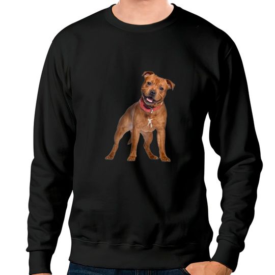 Discover Pit Bull Smile Sweatshirts