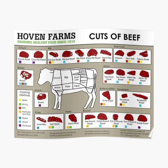 Discover Cuts of Beef Chart Premium Matte Vertical Poster