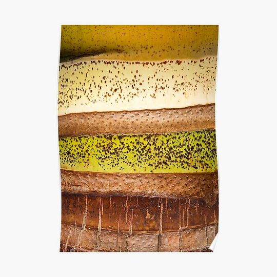 Discover Dagwood Sandwich Premium Matte Vertical Poster