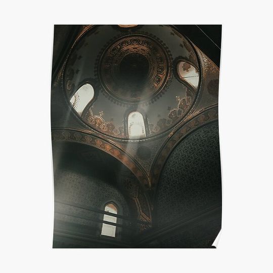 Discover Historical Building Ceiling Premium Matte Vertical Poster