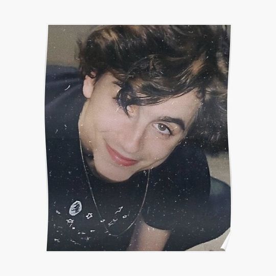 Discover Timothée Chalamet poster Premium Matte Vertical Poster