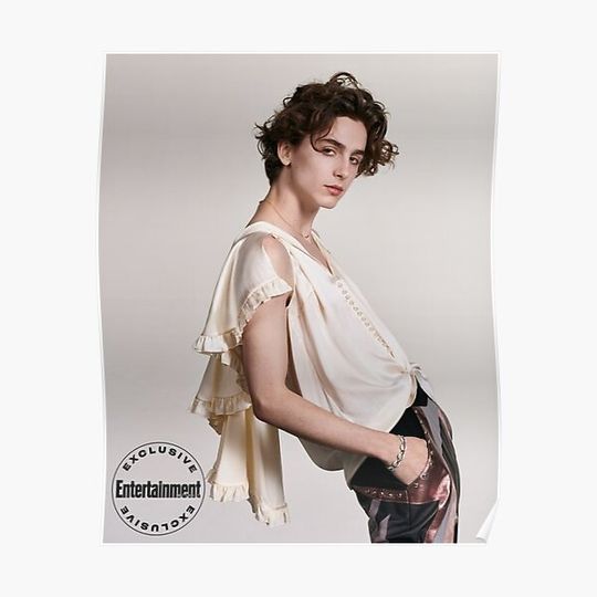 Discover Timothée Chalamet poster aesthetic Premium Matte Vertical Poster