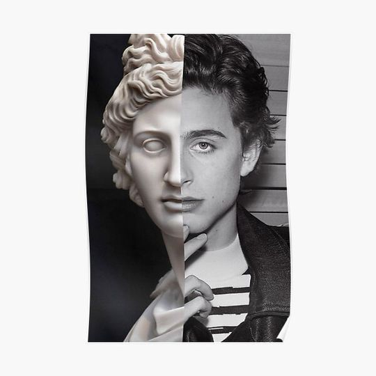 Discover Timothée Chalamet - Masterpiece Premium Matte Vertical Poster